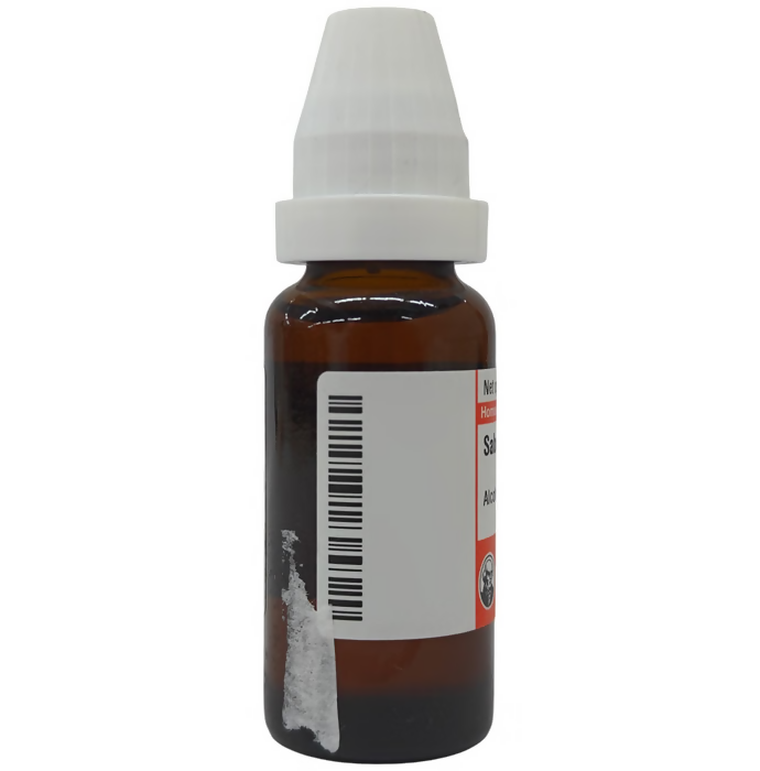 Dr. Willmar Schwabe Germany Sabal Serrulata Mother Tincture Q | Grocsy
