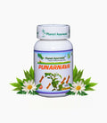 Planet Ayurveda Punarnava Capsules | Grocsy