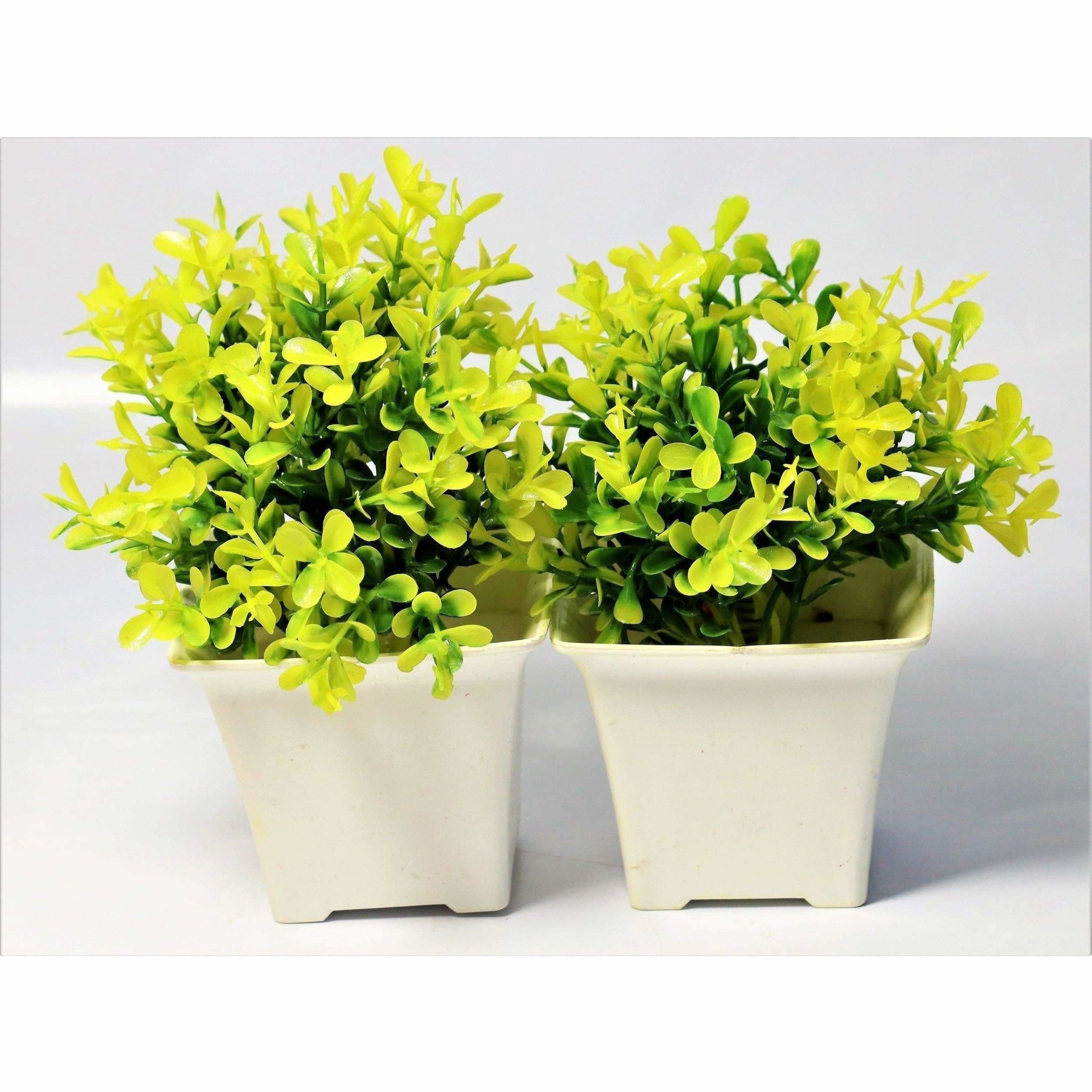 Chahat Decorative Artificial Flower Plant 2 Piece Combo | Grocsy