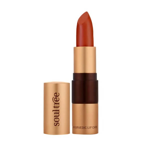 Soultree Ayurvedic Lipstick True Brick 813 | Grocsy