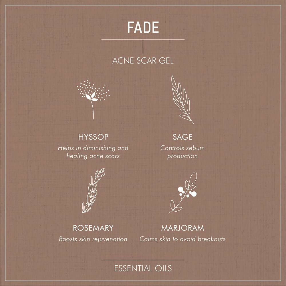 Secret Alchemist Fade Acne Scar Gel | Grocsy