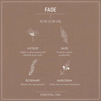 Secret Alchemist Fade Acne Scar Gel | Grocsy