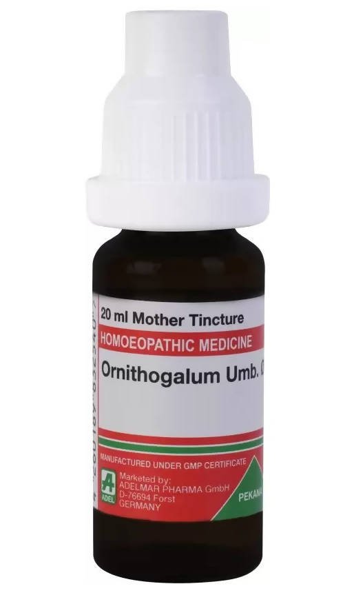 Adel Homeopathy Ornithogalum Umbellatum Mother Tincture Q | Grocsy