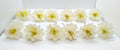 White Flower Hair Brooches | Grocsy