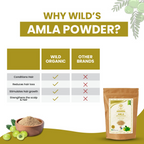 Wild Organic Amla Powder Natural Hair Growth | Grocsy