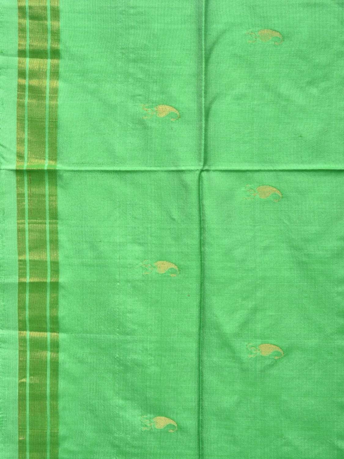 Light Green Uppada Silk Handloom Saree with Karpur Pallu Design - Global Threads | Grocsy