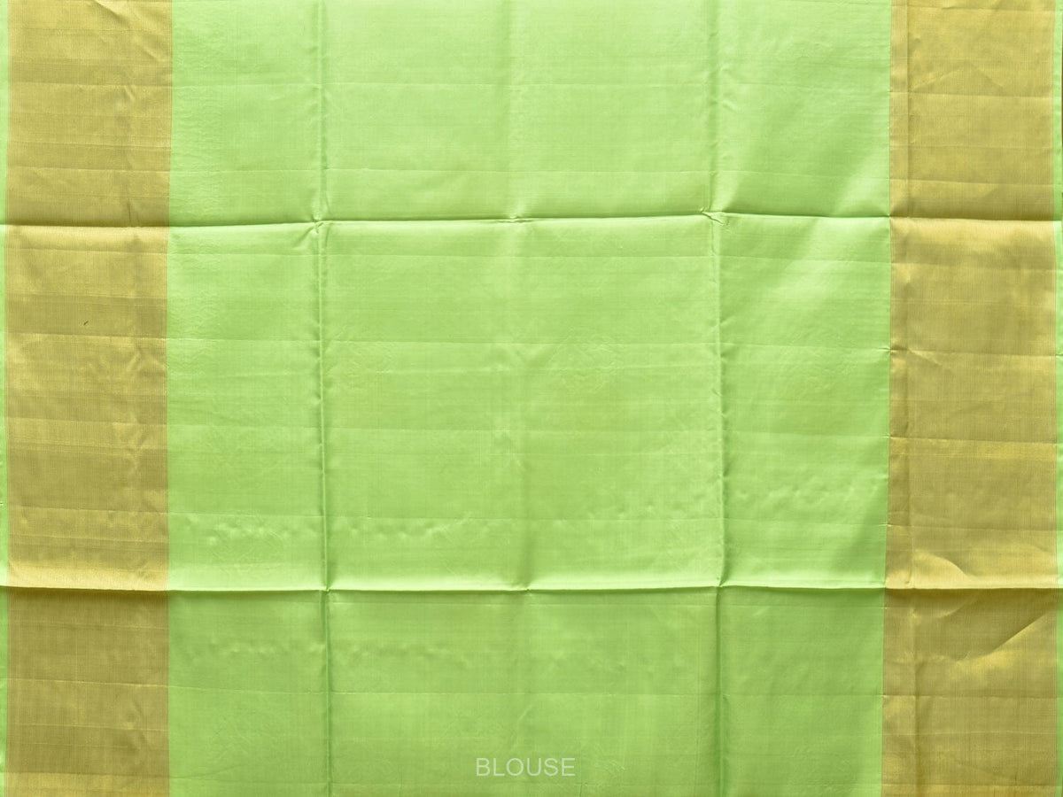 Light Green Uppada Silk Handloom Saree with Nilamabri Buta Design - Global Threads | Grocsy