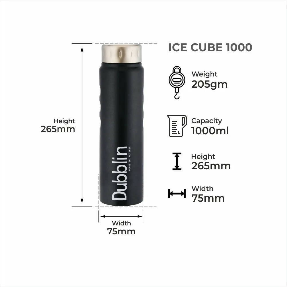 Dubblin Ice Cube Stainless Steel Fridge Water Bottle | Grocsy