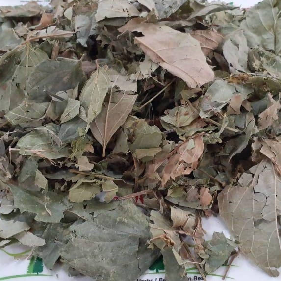Liferr Parijat Leaves Powder | Grocsy