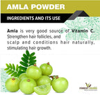 Forest Herbs 100% Natural Organic Amla, Reetha, Shikakai Powder Combo | Grocsy