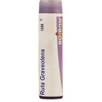 Boiron Homeopathy Ruta Graveolens | Grocsy