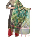 A R Silk Women's Vanarsi Green Silk Zari Embroidery With Multi Color Fancy Dupatta | Grocsy