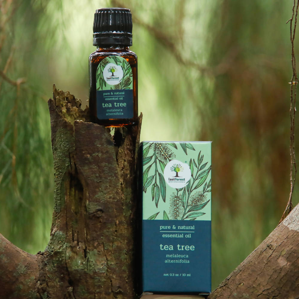 Lastforest Therapeutic Essential Oil Tea Tree | Grocsy