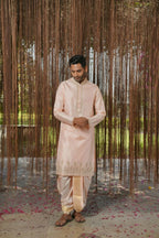 Light Pink Kanjivaram Machine Embroidered Pattu Set by Hilo Design | Grocsy