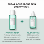 SKIN1004 Madagascar Centella Tea-Trica Purifying Toner | Grocsy