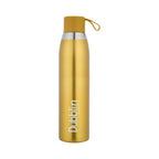 Dubblin Dolphin Vacuum Bottle | Grocsy