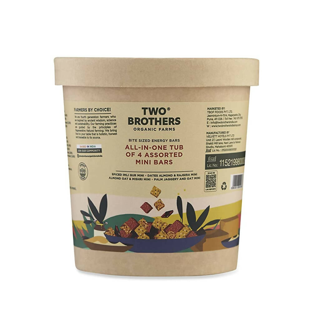 Two Brothers Organic Farms All-in-One Tub of Assorted Mini Bars-20 Minis | Grocsy