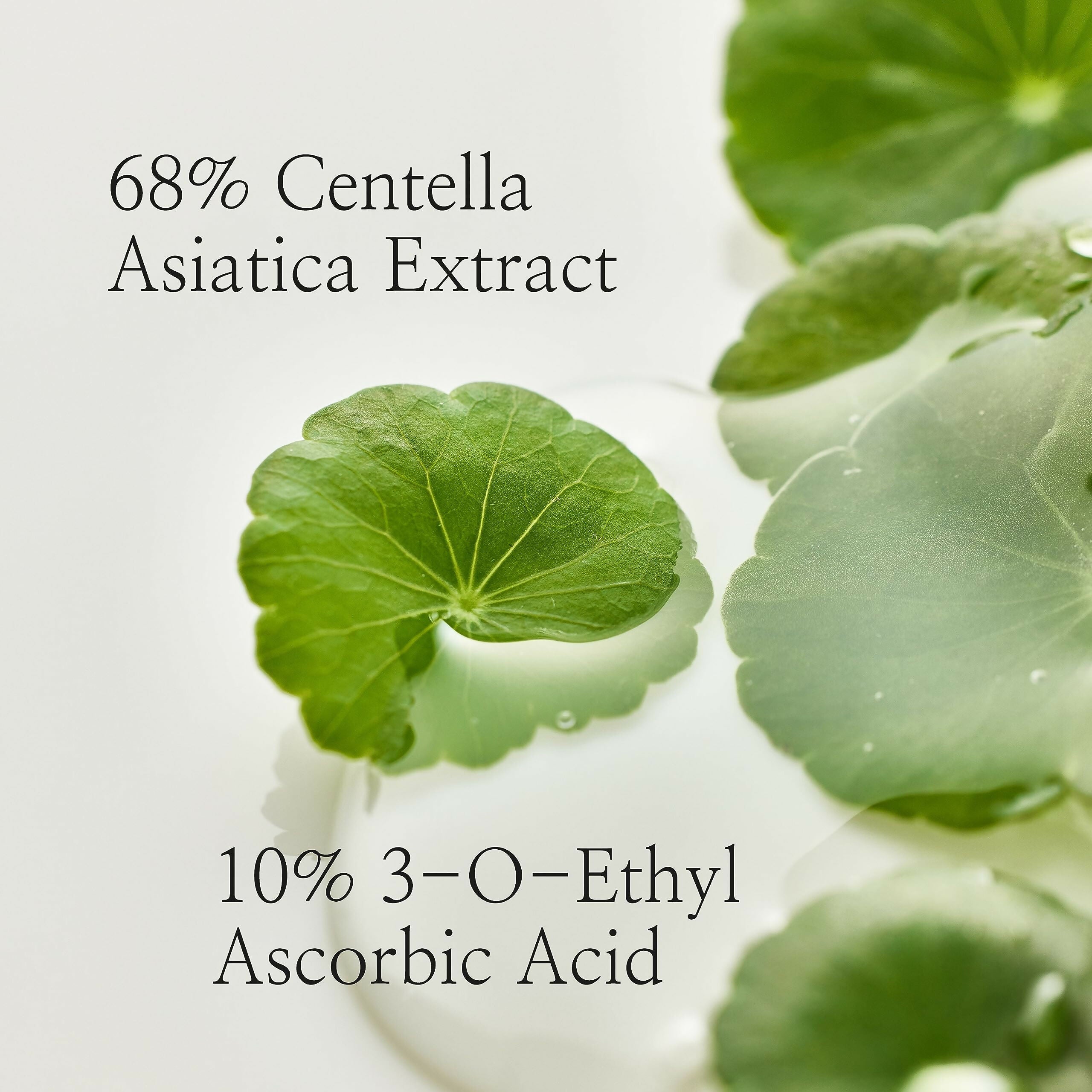 Beauty of Joseon Light On Serum Centella + Vita C - Korean Skincare | Grocsy