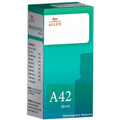 Allen Homeopathy A42 Drops | Grocsy