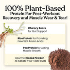 Kapiva Ayurveda Vegan Protein Post-Workout Recovery | Grocsy