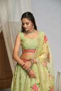 Pista Green Floral Georgette Sequence Work Lehenga Choli - Jihu Culture | Grocsy