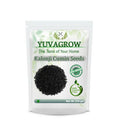Yuvagrow Kalonji Cumin Seeds (Black Jeera) | Grocsy