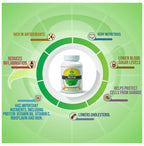 Sushrut Ayurved Good Health Moringa Veg Capsules | Grocsy