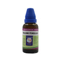Father Muller Trillium Pendulum Mother Tincture Q | Grocsy