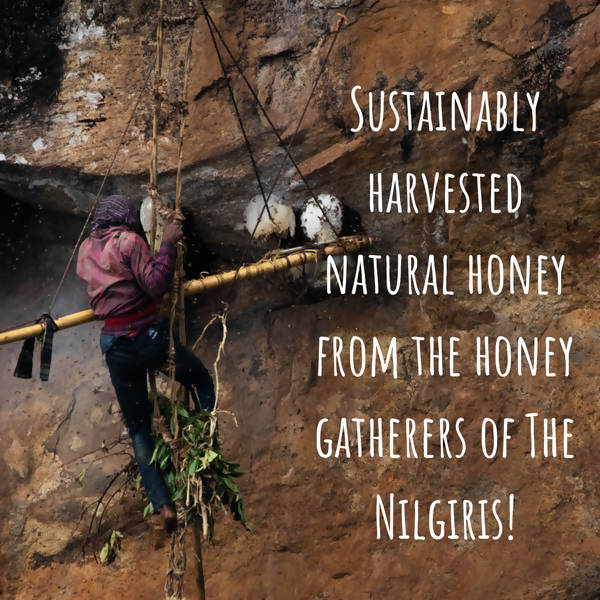 Lastforest Saffron Honey | Grocsy