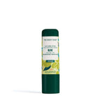 The Body Shop Olive Lip Care Stick | Grocsy