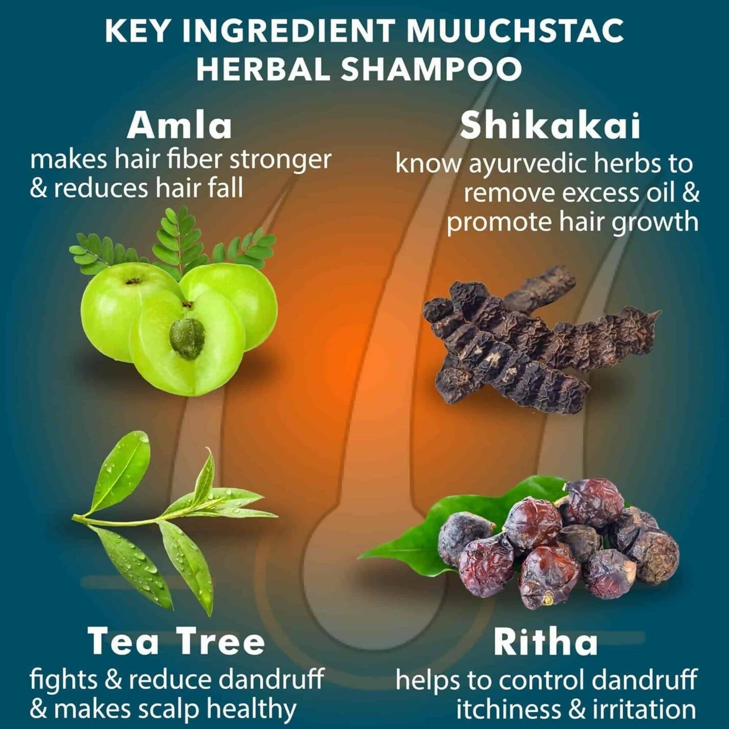 Muuchstac Herbal Shampoo With Anti-Dandruff & Anti-Hairfall Solution | Grocsy