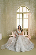 Eilara Light Gray Sequins Net Function Wear Lehenga Choli Set | Grocsy