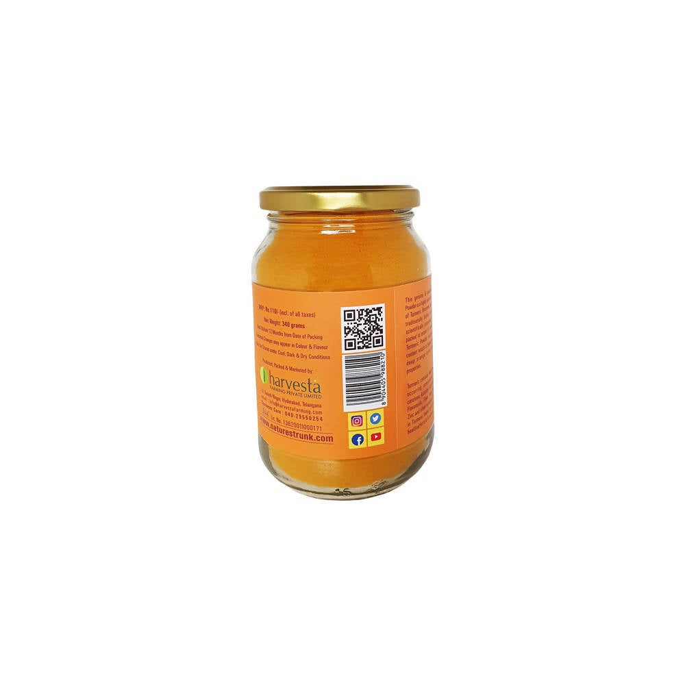 Nature's Trunk Curcumin Rich Turmeric Powder | Grocsy