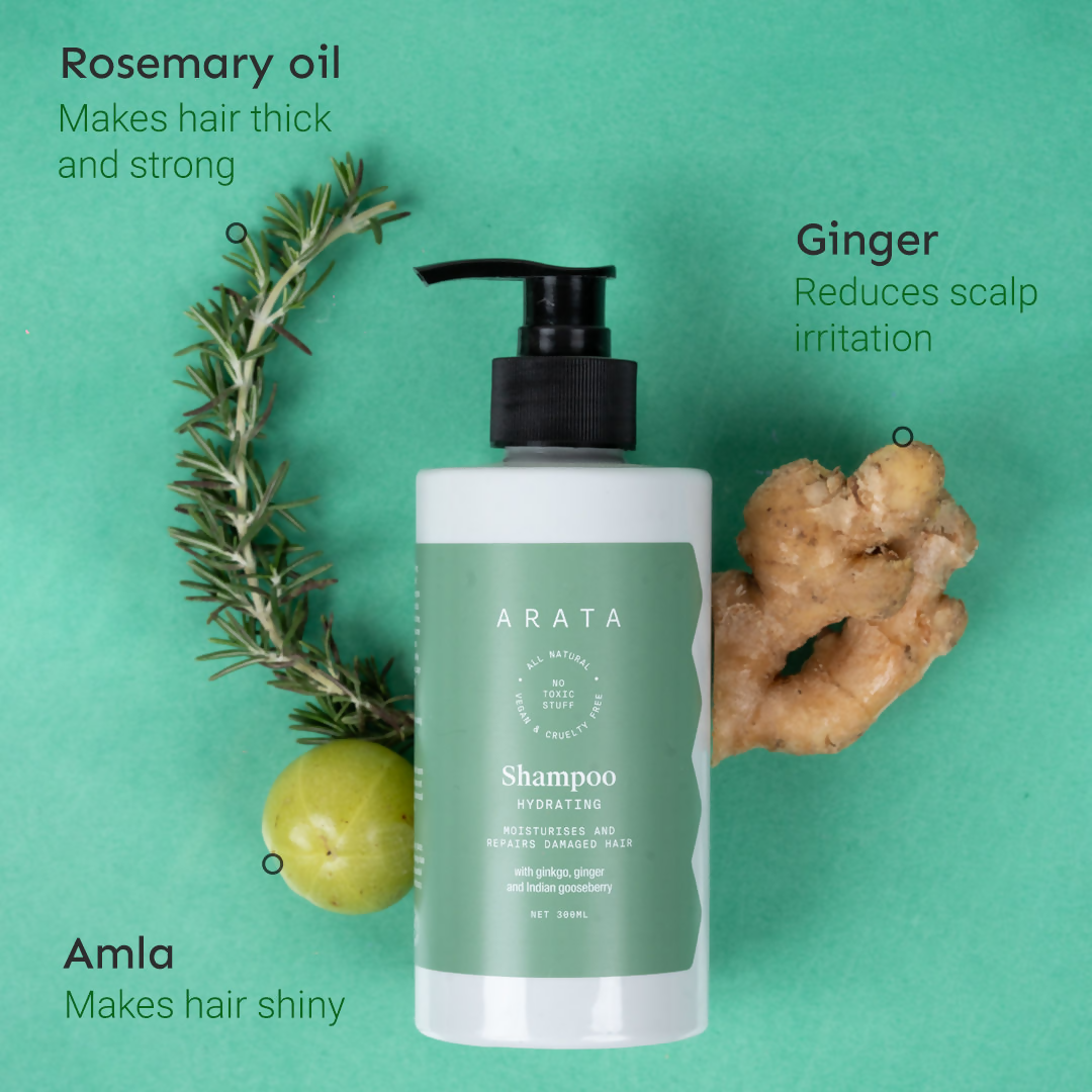 Arata SLS & Paraben Free Hydrating Shampoo With Ginkgo, Ginger & Indian Gooseberry | Grocsy