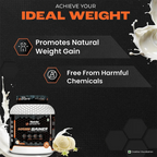 Patanjali Nutrela Sports Mass Gainer (Frvan-ice) | Grocsy