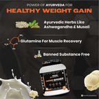 Patanjali Nutrela Sports Mass Gainer (Frvan-ice) | Grocsy