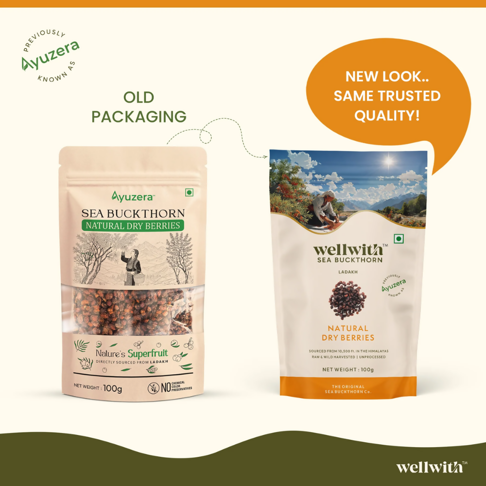 Wellwith Sea Buckthorn Dry Berry | Grocsy