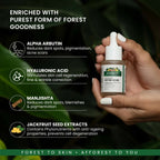Afforest Jackfruit Bedtime Serum with 0.3% Alpha Arbutin, 1% Hyaluronic acid, Jackfruit seed extracts | Grocsy