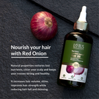 Lotus Botanicals Red Onion Hair Fall Control Hair Oil | Grocsy