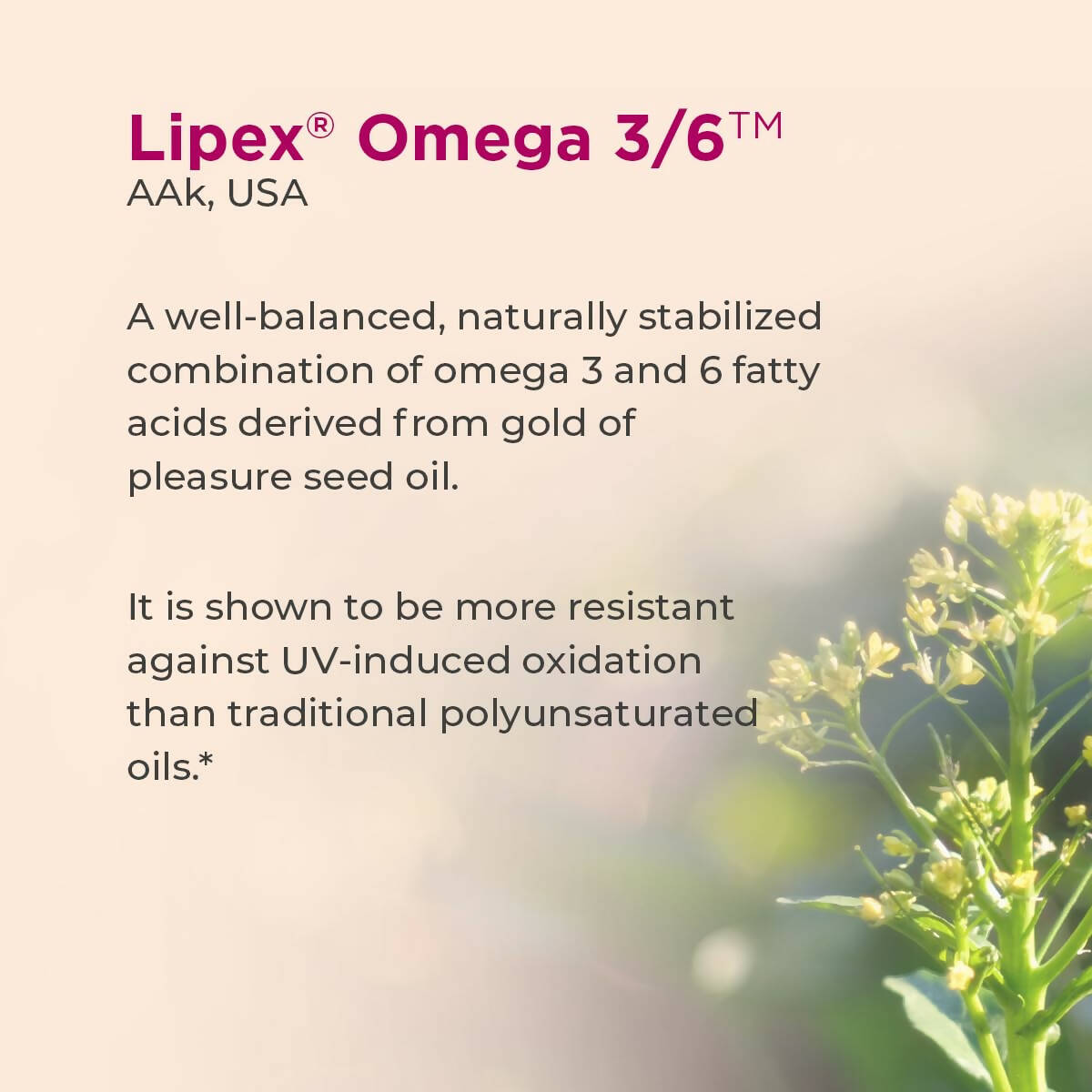 Healthyr-U Omega Skin Repair Face Serum | Grocsy