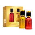 Fogg Scent Chief and Commander Perfume Gift Set | Grocsy