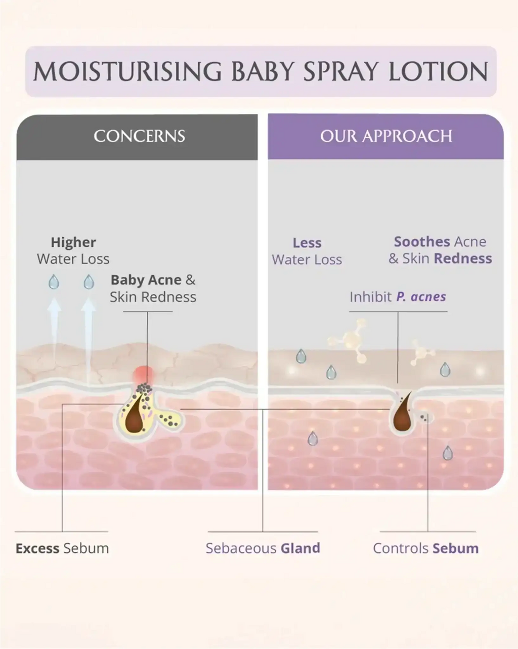 AreoVeda Mini Moisturising Kit | Grocsy