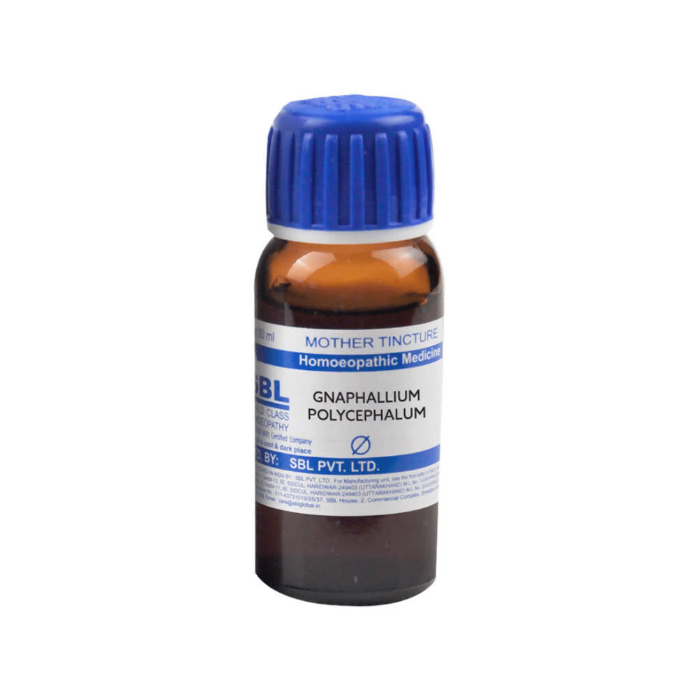 SBL Homeopathy Gnaphalium Polycephalum Mother Tincture Q | Grocsy