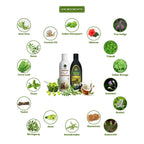 Bhumika Vedics Herbal Hair Oil & Ayurvedic Shampoo Combo | Grocsy