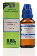 SBL Homeopathy Magnetis Polus Australis Dilution | Grocsy