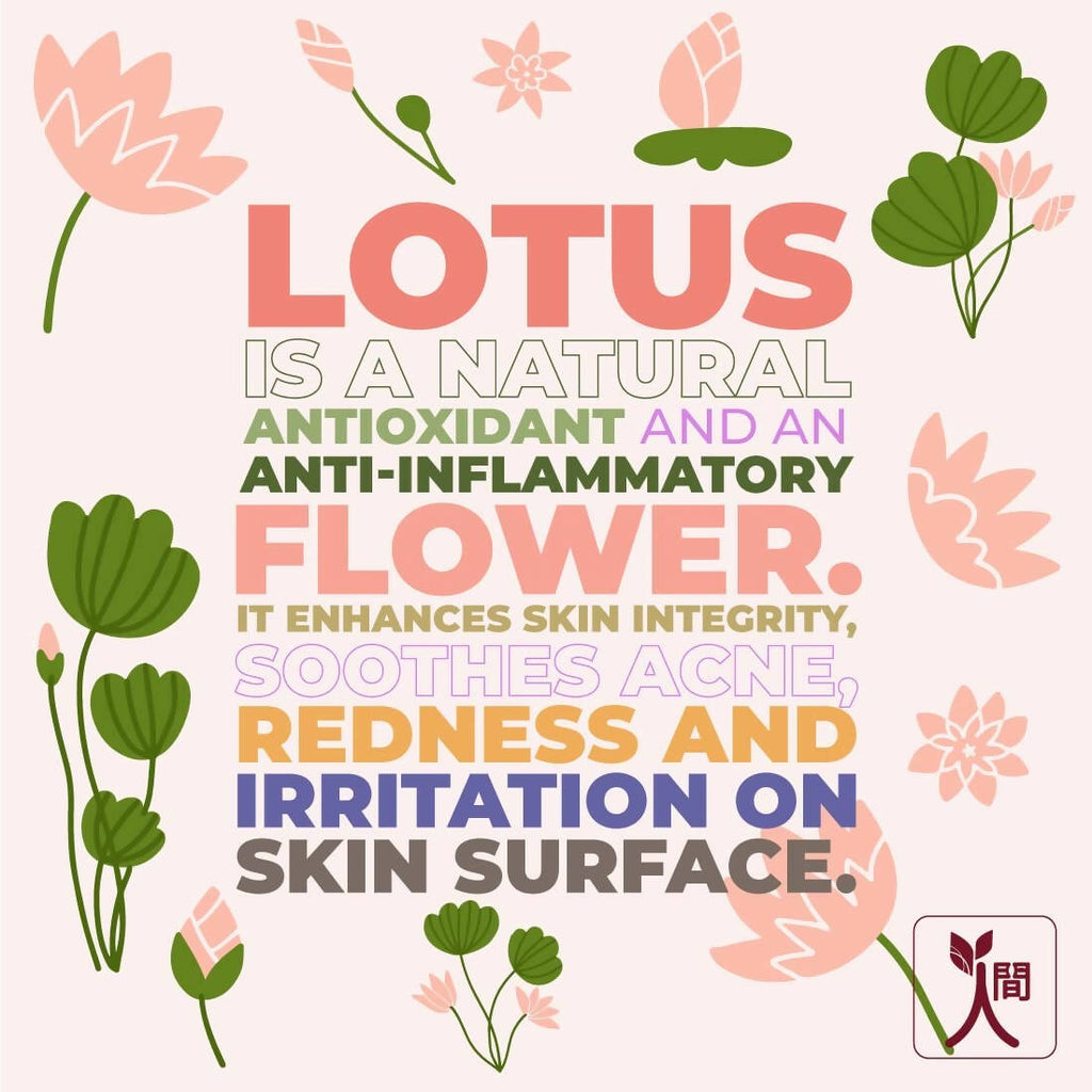 Ningen Lotus Hair Conditioner | Grocsy