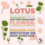 Ningen Lotus Hair Conditioner | Grocsy