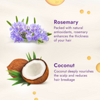 Parachute Advansed Rosemary enriched Coconut Hair Oil | Grocsy
