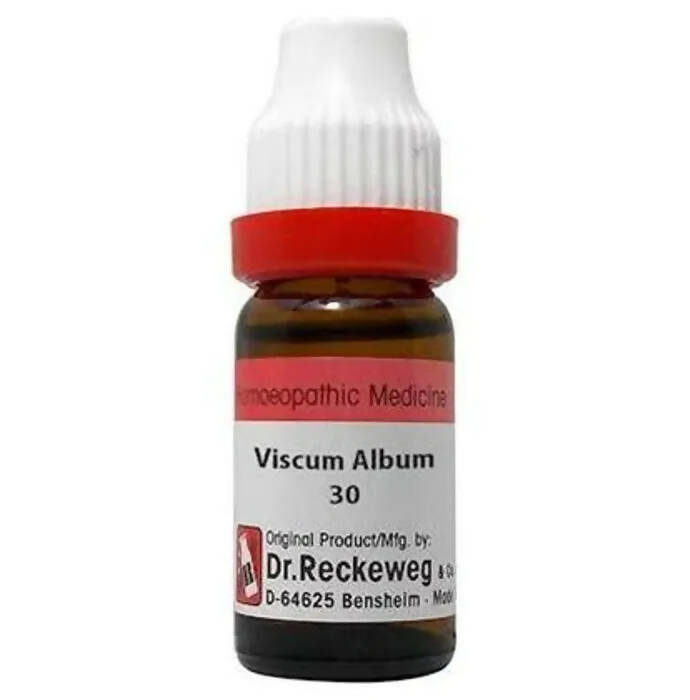 Dr. Reckeweg Viscum Album Dilution | Grocsy