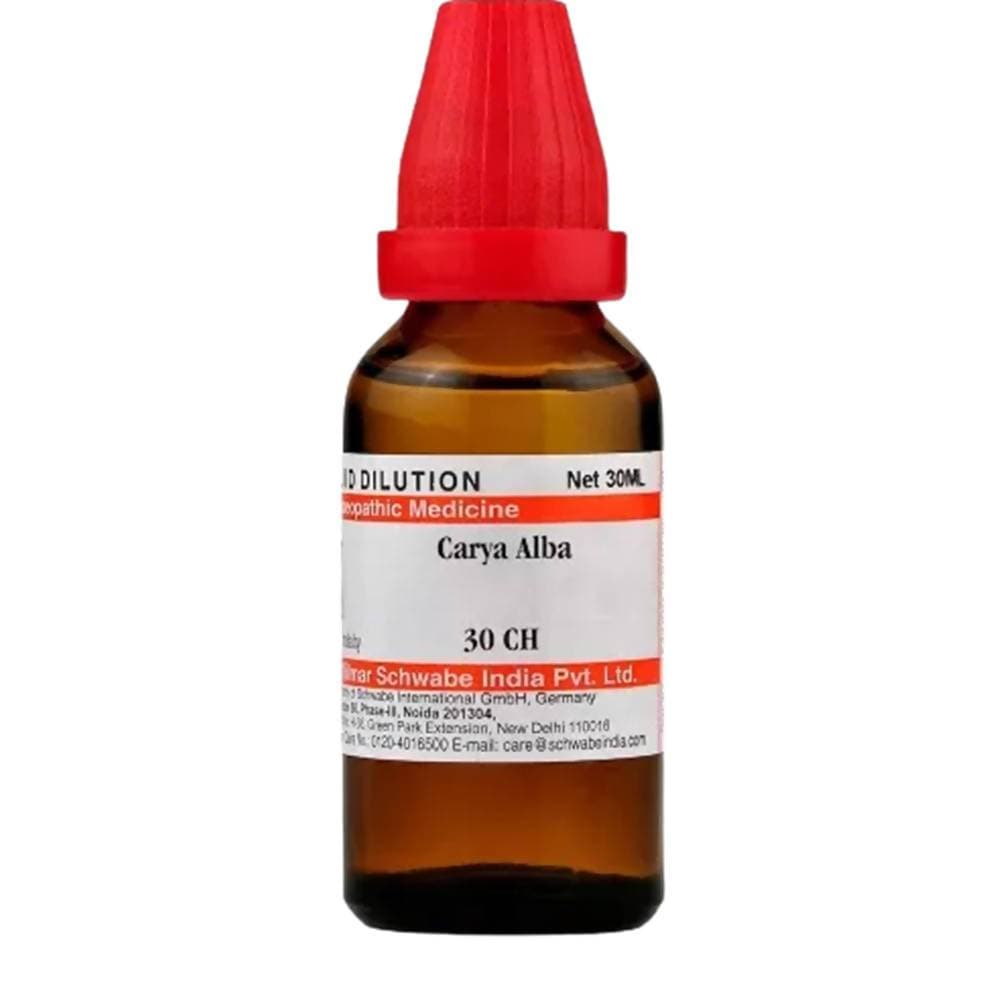 Dr. Willmar Schwabe India Carya Alba Dilution | Grocsy